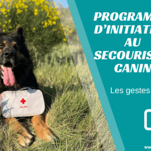 Programme d'initiation au Secourisme canin