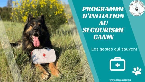Programme d'initiation au Secourisme canin