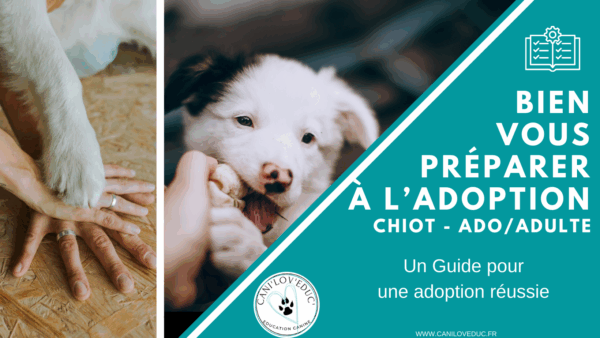 Guide gratuit : Bien se préparer pour une adoption réussie !